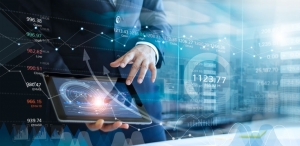 SEO websites  SEO websites